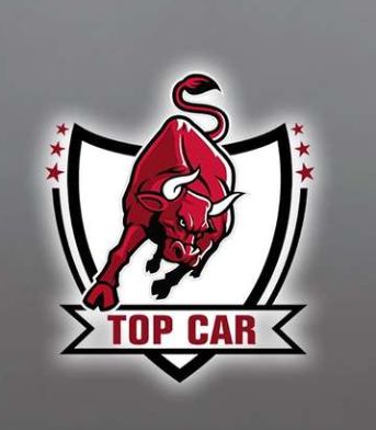 حماية سيارات